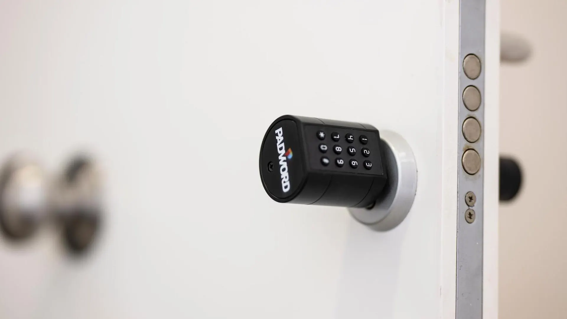 Elekagua Renting Apartment Costa Adeje