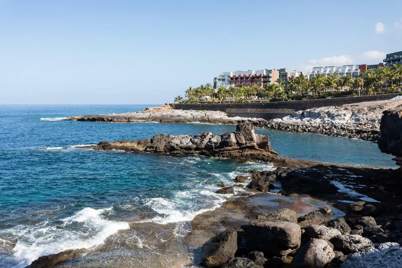 Appartement Elekagua Renting à Costa Adeje  Costa Adeje (Tenerife)